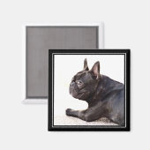 Aimant français Bulldog (Recto/Verso)