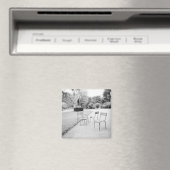 Aimant FRANCE, Paris : Statue du Jardin du Luxembourg (In Situ (Lave-vaisselle))