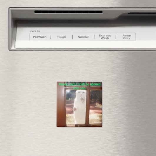 Aimant Frappe, frappe. (In Situ (Lave-vaisselle))