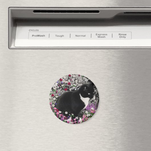 Aimant Frapules en Fleurs II - Tuxedo Cat (In Situ (Lave-vaisselle))