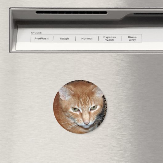 Aimant Freddie Magenet (In Situ (Lave-vaisselle))