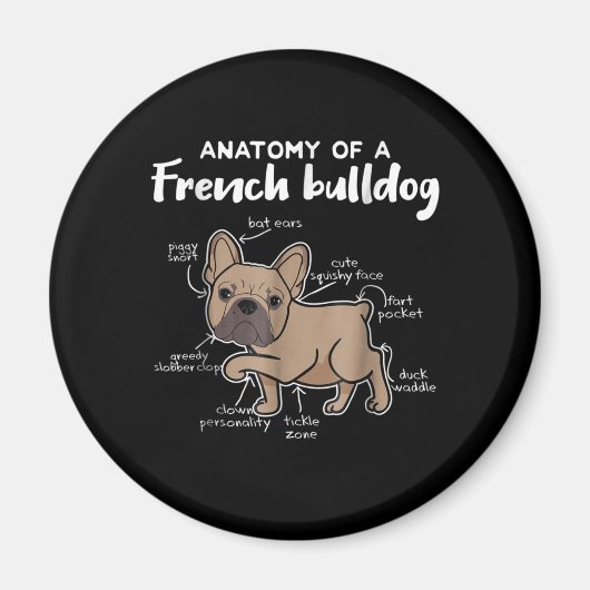 Aimant Frenchie Gift | Anatomie D'Un Cadeau Français De B (Devant)