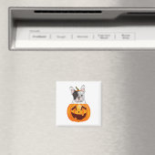 Aimant Frenchie Halloween (In Situ (Lave-vaisselle))