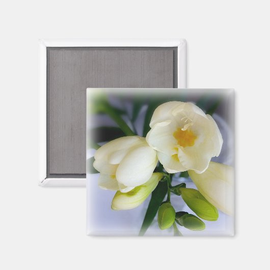 Aimant frénésie jaune blanc (Recto/Verso)