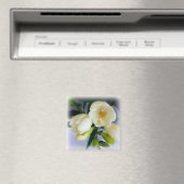 Aimant frénésie jaune blanc (In Situ (Lave-vaisselle))