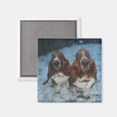 Aimant Frères Basset Hound aimantés (Recto/Verso)
