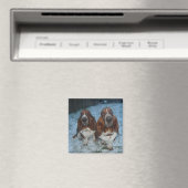 Aimant Frères Basset Hound aimantés (In Situ (Lave-vaisselle))