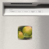 Aimant Fresh Green Apples with Misty Border (In Situ (Lave-vaisselle))
