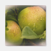 Aimant Fresh Green Apples with Misty Border (Devant)