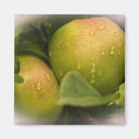 Fresh Green Apples with Misty Border