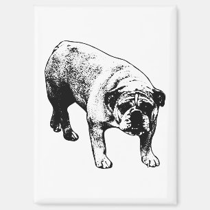 Aimant Fridge Cheer Bulldog