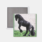 Aimant friésien (Recto/Verso)