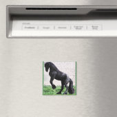 Aimant friésien (In Situ (Lave-vaisselle))