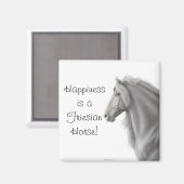 Aimant friésien (Recto/Verso)