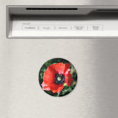 Aimant frigidaire de Poppy (In Situ (Lave-vaisselle))