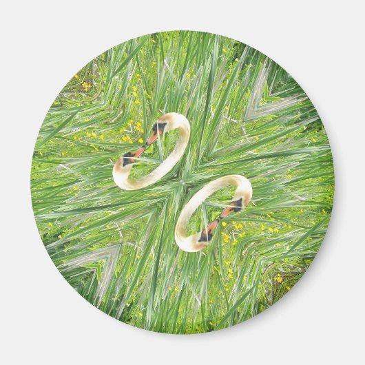 aimant frigo à quatre cygnes (Devant)