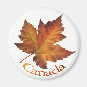 Aimant frigo Canada Souvenir Canada conserve