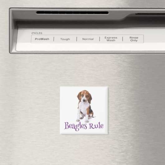 Aimant frigo Chien Chien beagle (In Situ (Lave-vaisselle))