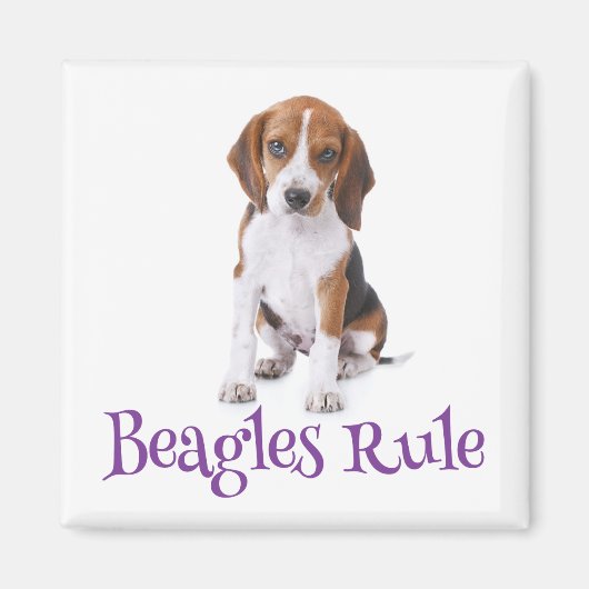 Aimant frigo Chien Chien beagle (Devant)