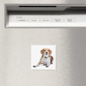 Aimant frigo Chien Chien beagle (In Situ (Lave-vaisselle))