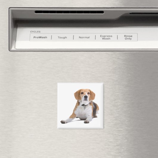 Aimant frigo Chien Chien beagle (In Situ (Lave-vaisselle))