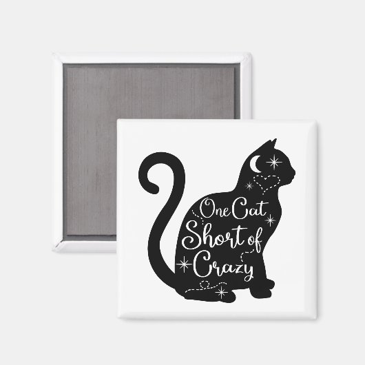 Aimant frigo de chat (Recto/Verso)