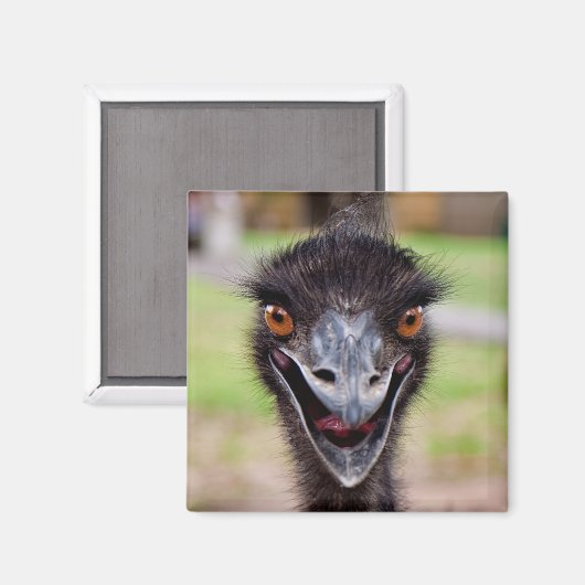 Aimant frigo Emu Cheeky (Recto/Verso)
