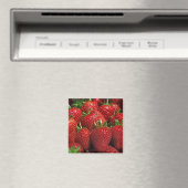 Aimant frigo fraises (In Situ (Lave-vaisselle))