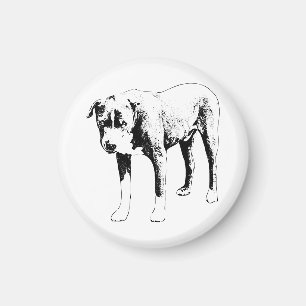 Aimant Frigo Friend, Pit Bull Steady