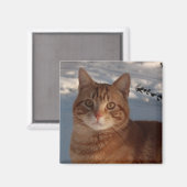 Aimant Frigo Kitty (Recto/Verso)