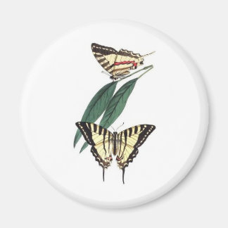 Aimant frigo Oiseau Exotique