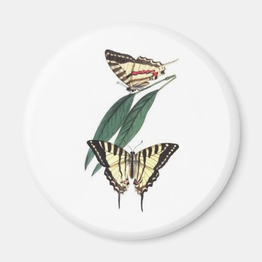 Aimant frigo Oiseau Exotique (Devant)