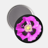 Aimant frigo Oriental Poppy noir (Recto/Verso)