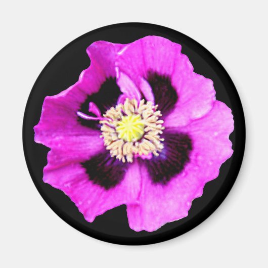 Aimant frigo Oriental Poppy noir (Devant)