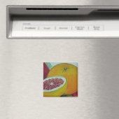 Aimant frigo pamplemousse rouge (In Situ (Lave-vaisselle))