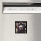 Aimant frigo pour chien de Terre-Neuve (In Situ (Lave-vaisselle))