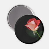 Aimant frigo rose rouge (Recto/Verso)