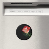 Aimant frigo rose rouge (In Situ (Lave-vaisselle))