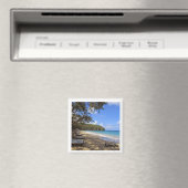 aimant frigo ; souvenir de plage de Jamaïque (In Situ (Lave-vaisselle))