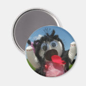 Aimant frigo Tatty Ragdoll (Recto/Verso)