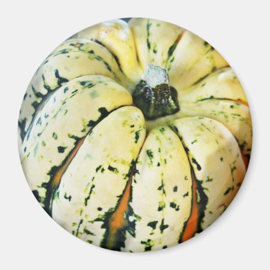 Aimant frigorifique à courge de chute décorative (Devant)