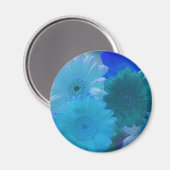 Aimant frigorifique bleu Gerbera Daisy (Recto/Verso)