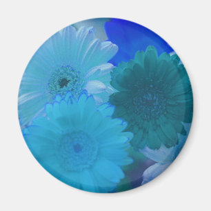 Aimant frigorifique bleu Gerbera Daisy