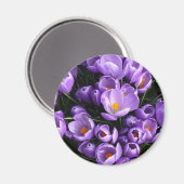 Aimant frigorifique en crocus violet (Recto/Verso)