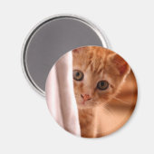 Aimant frigorifique pour Kitty caché et demandé (Recto/Verso)