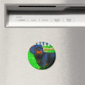 Aimant Fritz (In Situ (Lave-vaisselle))