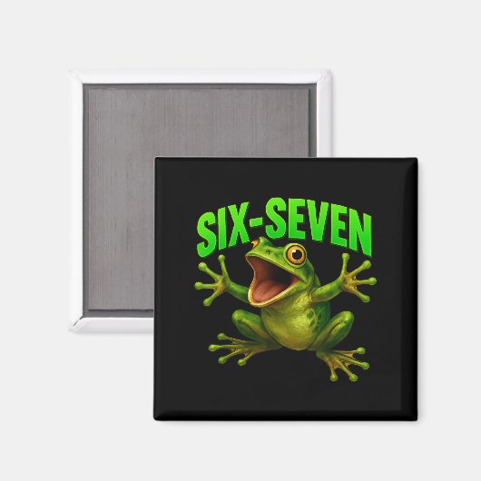 Aimant Frog 67 Meme Six Seven Funny Gen Alpha  (Recto/Verso)