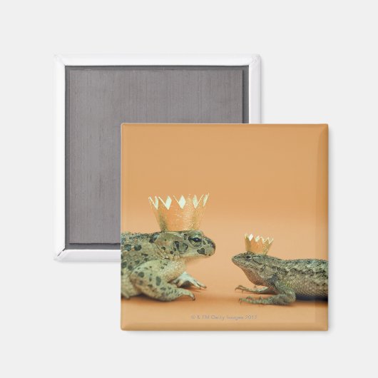 Aimant Frog and lizard wearing crowns (Recto/Verso)