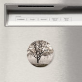 Aimant froid et agréable (In Situ (Lave-vaisselle))