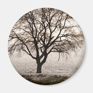 Aimant froid et agréable